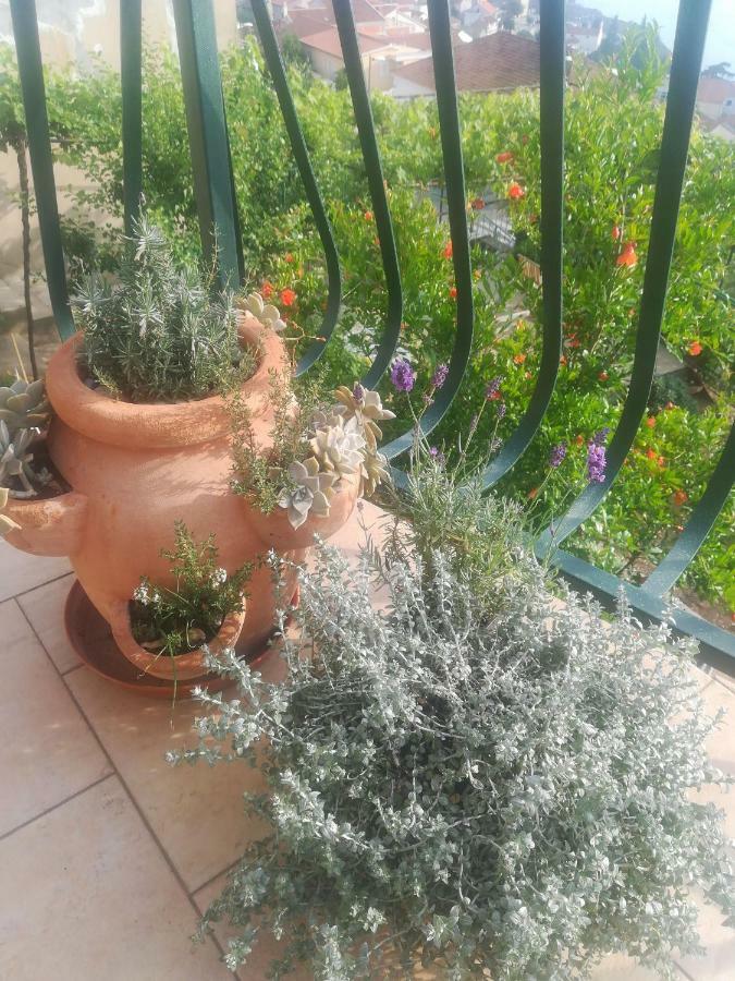 Apartman Betty Sibenik Exterior photo
